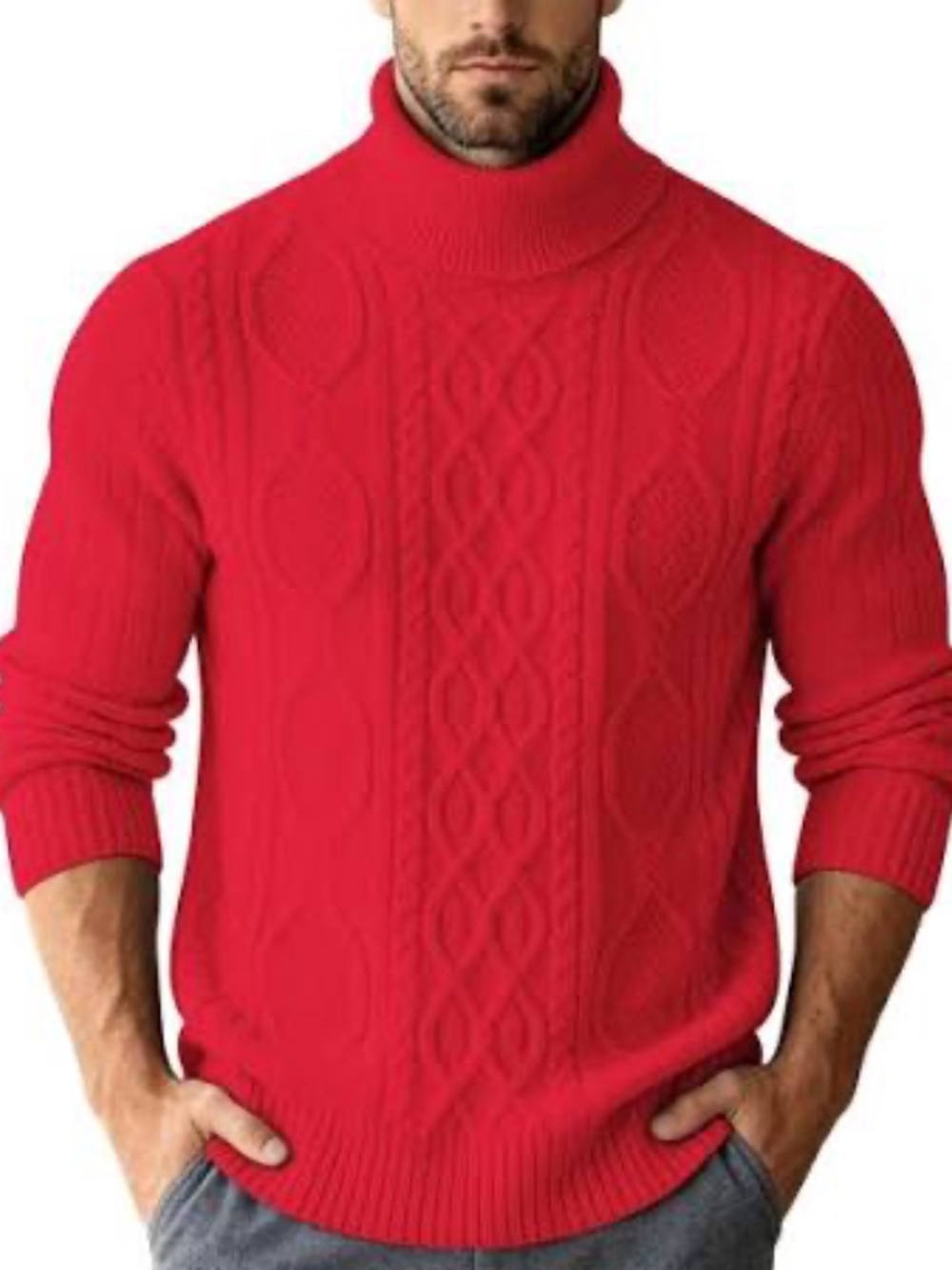 PAUL JONES Mens Turtleneck Sweaters Knit Pullover Fall Winter